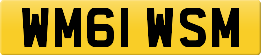 WM61WSM